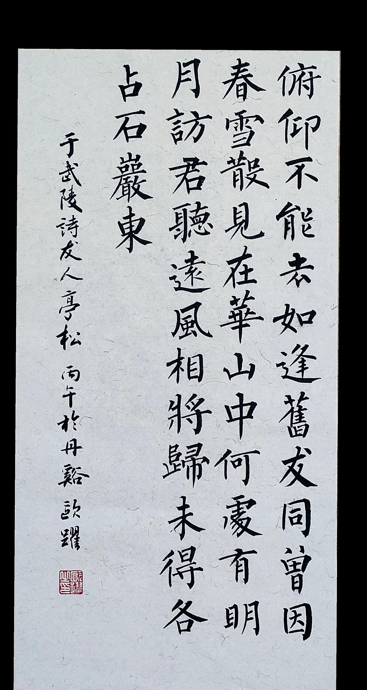 俯仰不能去，如逢旧友同。习柳风骨，墨染清欢。
柳体书法 传统文化 练字静心