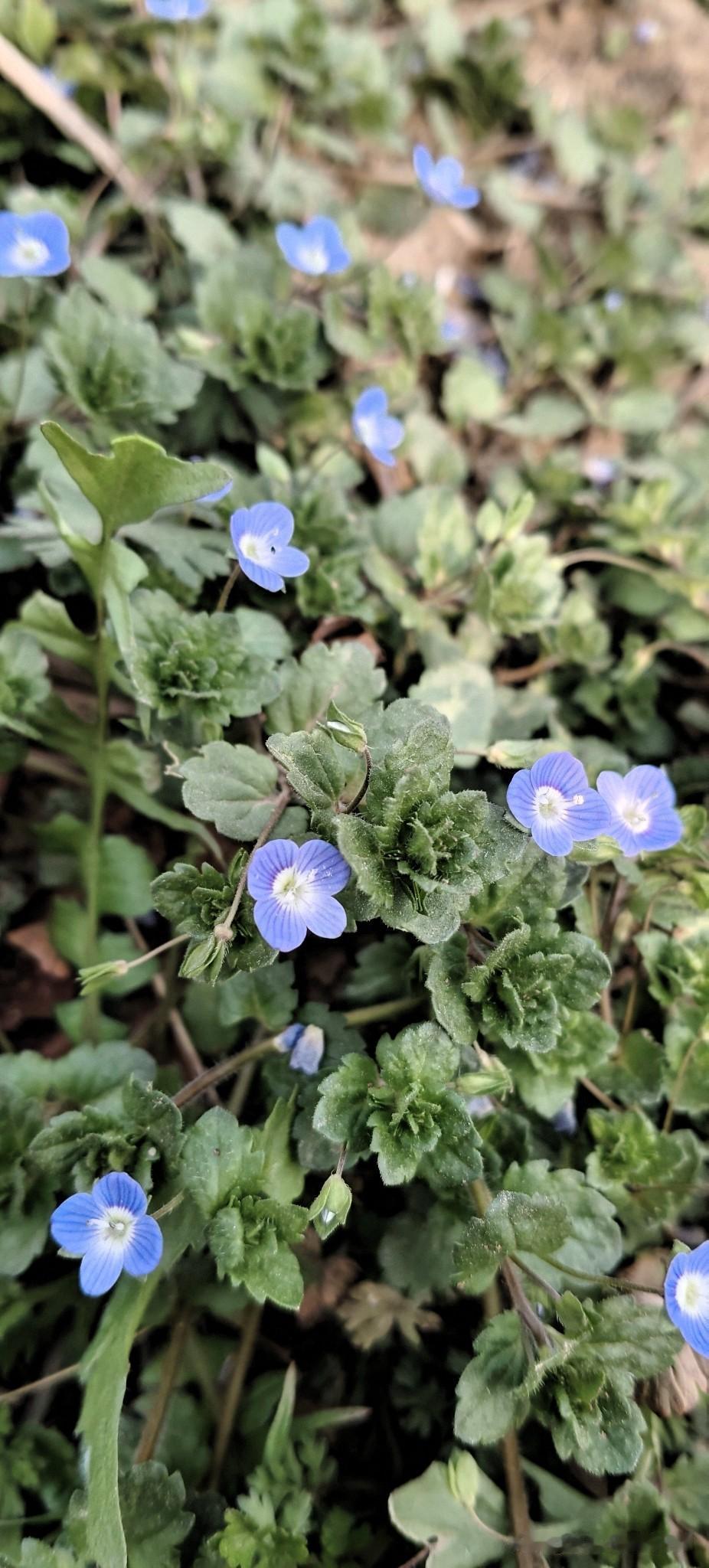 生活压力重重，工作竞争激烈，感情亦波折重重。面对堆积的任务和无尽的加班，我常感喘