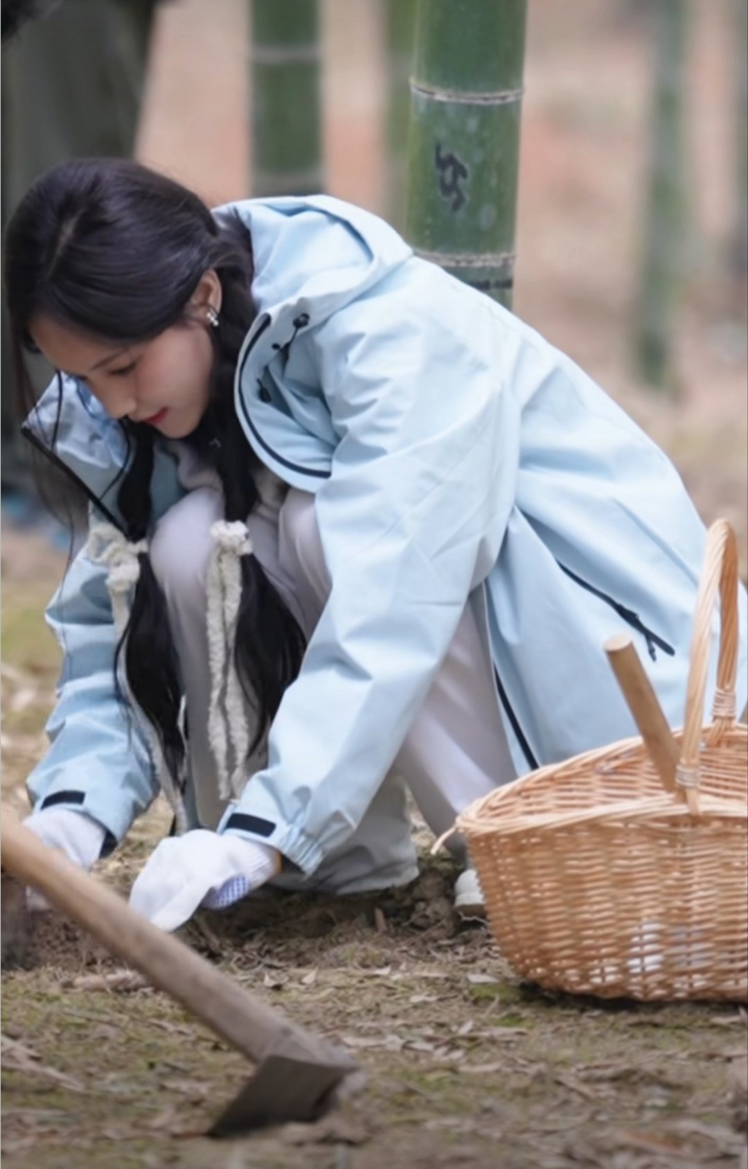 谁能拒绝得了李一桐挖笋说像小兔子刨土真的绝了，这个形容太贴切了！看她吭哧吭哧挖笋