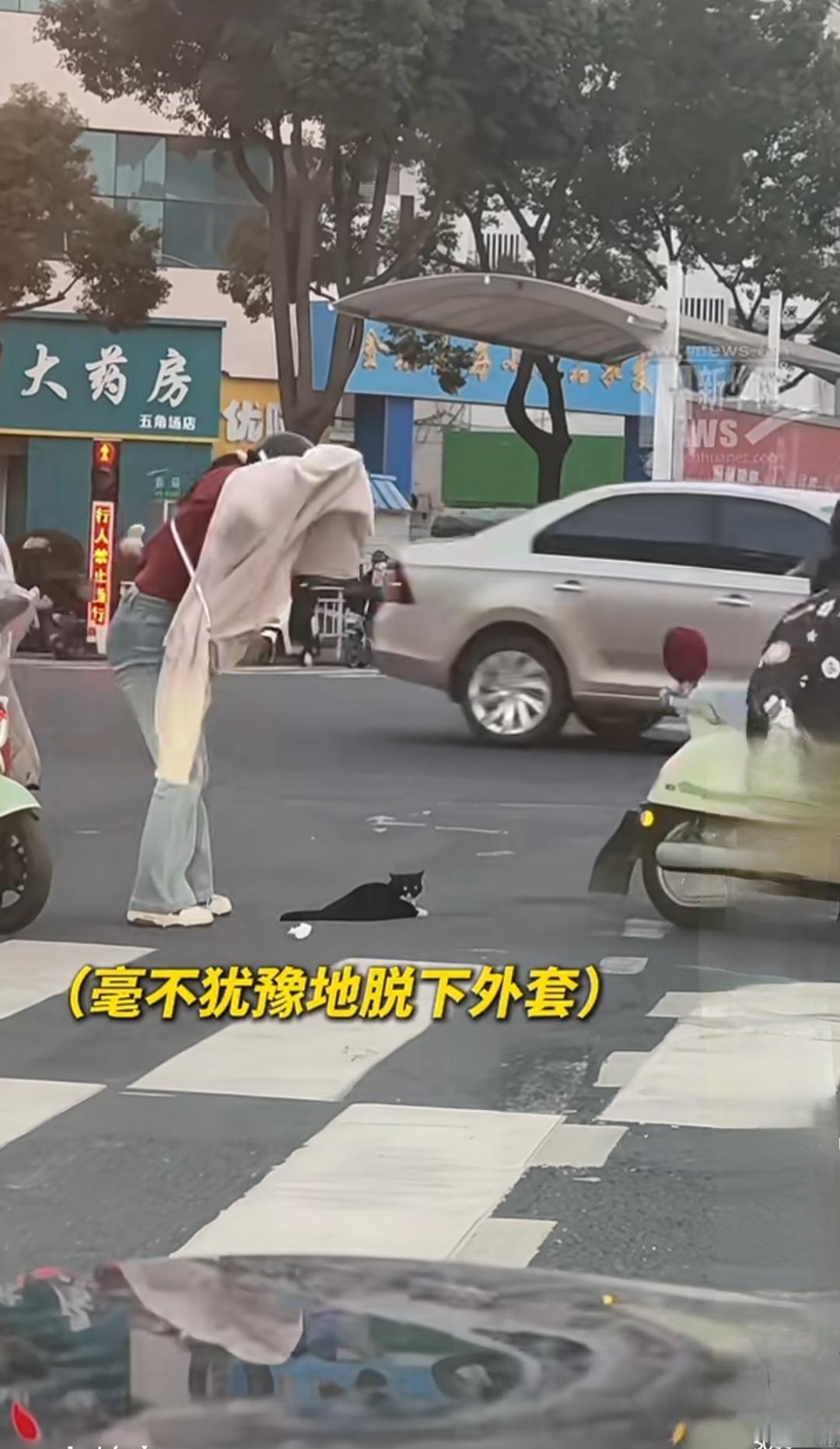 在这个寒风刺骨的冬日，街头巷尾都弥漫着一种冷峻的孤寂，但就在这样一个普通的下午，