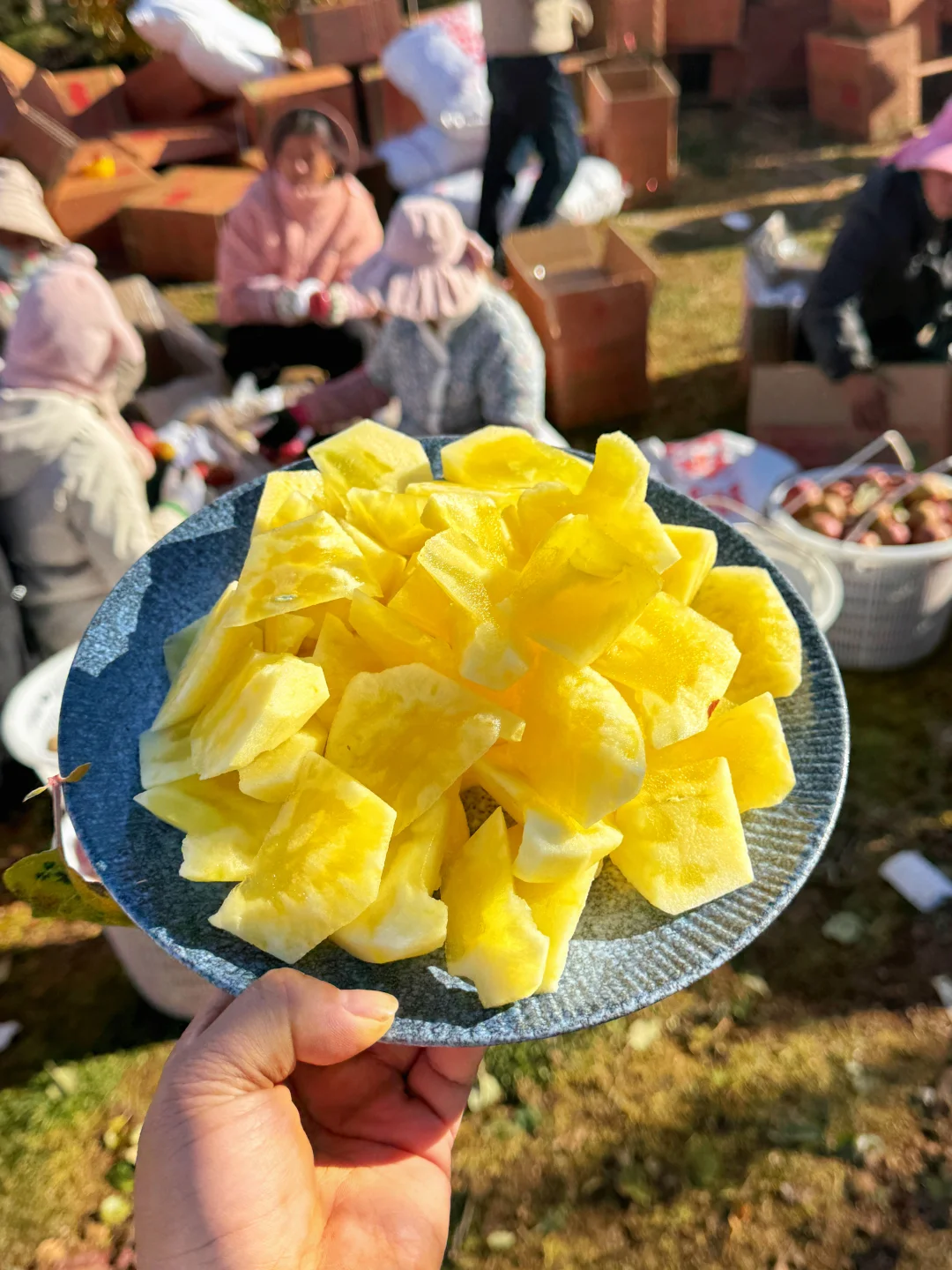 ‼️通知，发货倒计时3天，错过了就等明年了