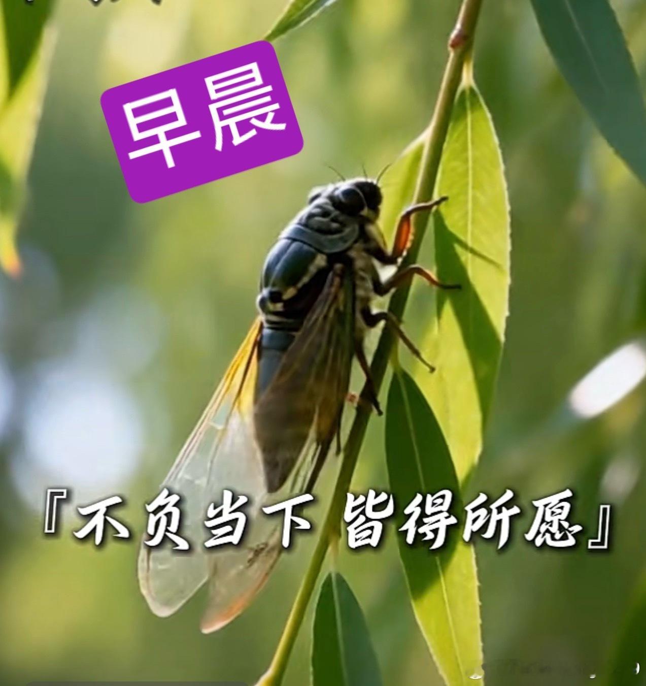 早晨 