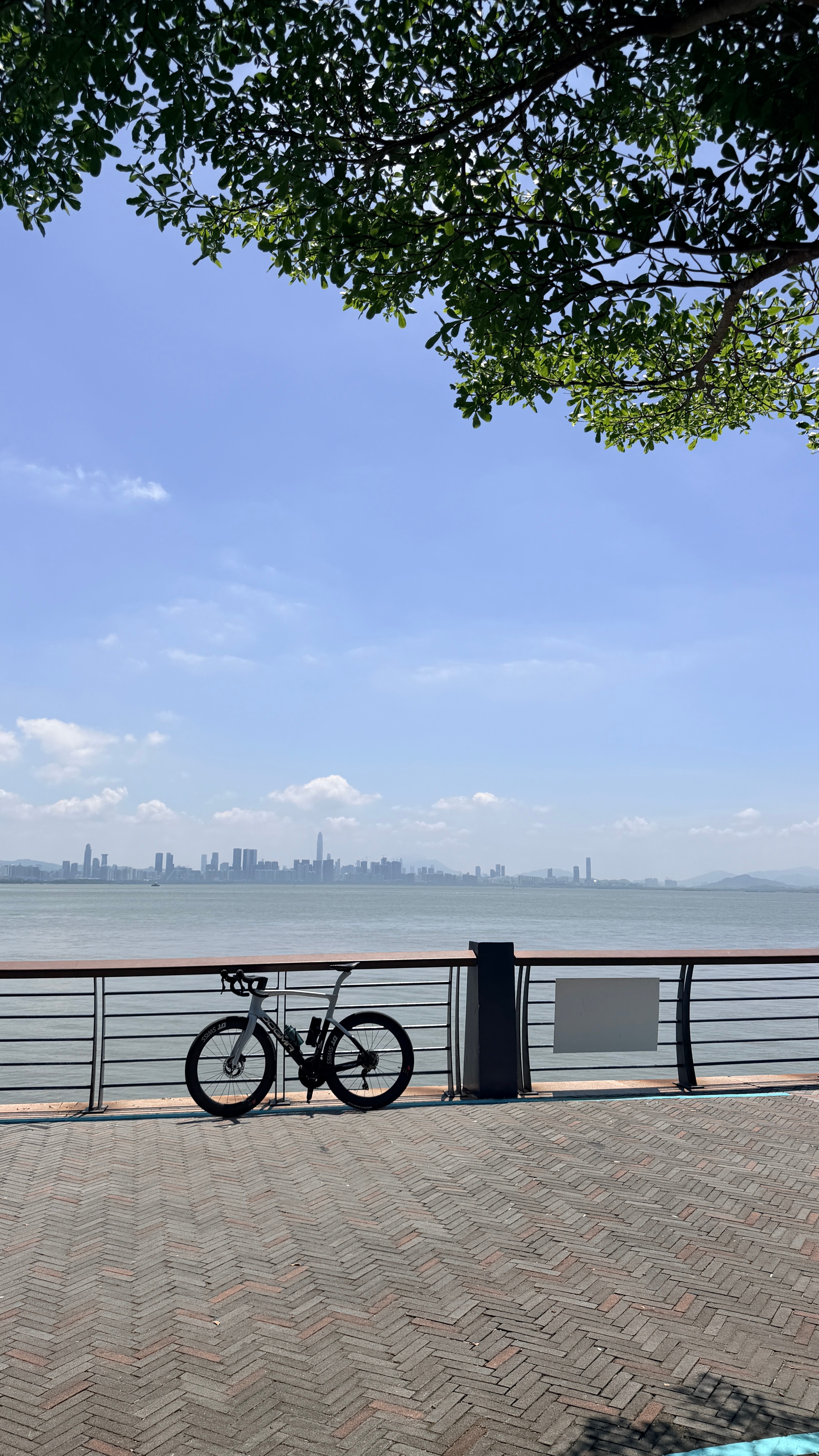 台风前夕深圳惊现橘红色天空今天还会有吗 白天蓝天白云的 