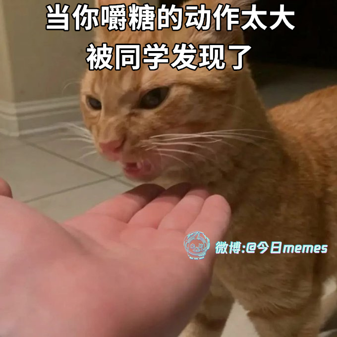 咬夹心呢 今日meme[超话]   