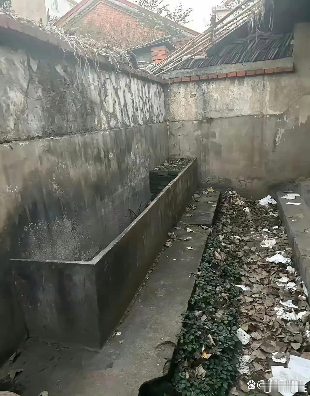 上过这种厕所，估计年龄不小了吧 