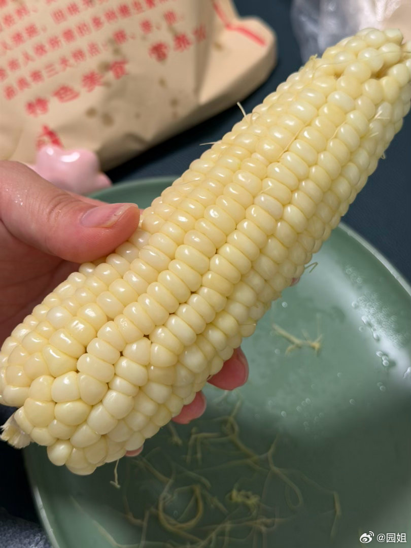 中午吃煮玉米，这个季节的玉米很甜，孩子也喜欢吃，话说你们那边也吃煮玉米吗？ 