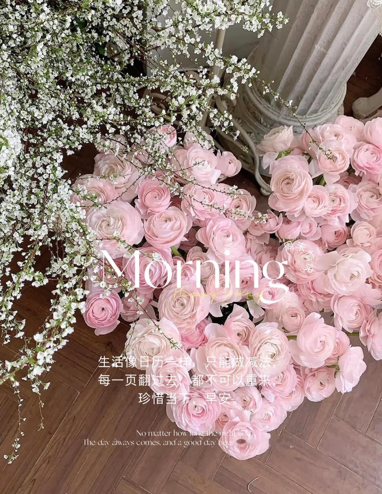 ʜєʟʟɵ➯ ᴍᴏʀɴɪɴɢ〰🌺与其等待机会，不如主动创造。今天的你，比昨天更