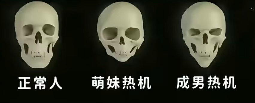 我去 这不皇丫吗 ​​​