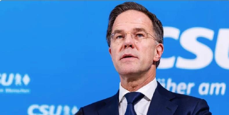 吕特偶遇乌克兰“神狗”！北约秘书长马克·吕特本周六在慕尼黑安全会议上讲述了一个罕