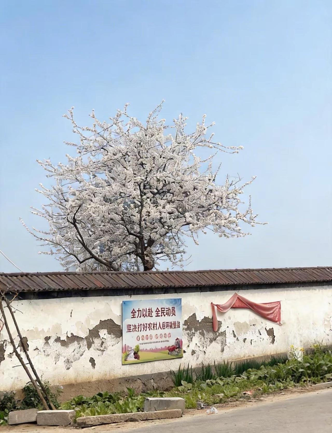 美帝国主义霸权时代结束了。从当前的国际形势来看，美式霸权的影响力确实在逐渐减弱，