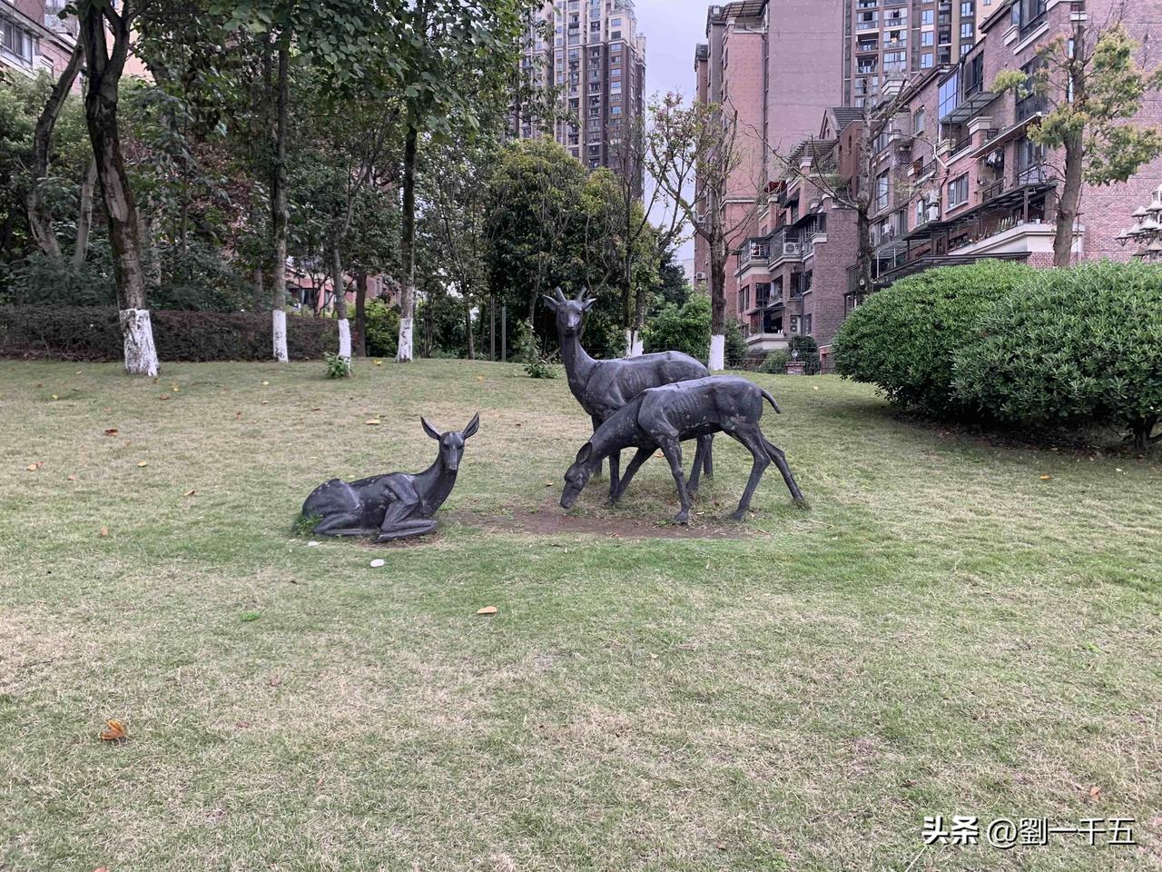 我儿子今年出去上班，头几个月赚的钱不够用，家里打过去，下半年才勉强自己够用了。