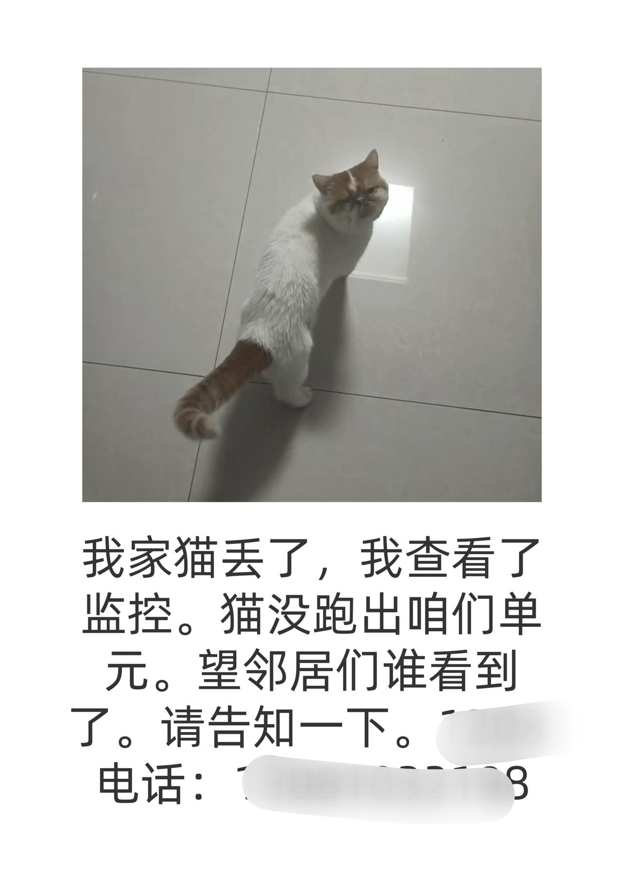 今天吐槽一下，我从小养的猫，由于我昨天回家，没关好门，他溜出去了。我昨天找没找到