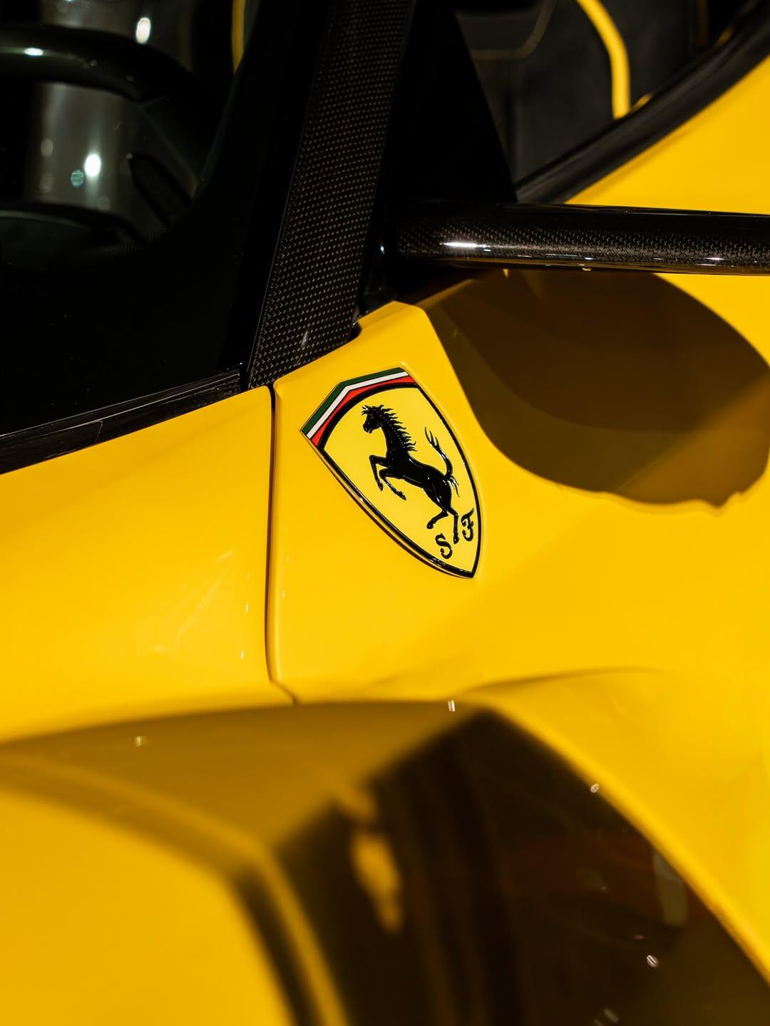 “情绪稳定的代价是情感漠视”