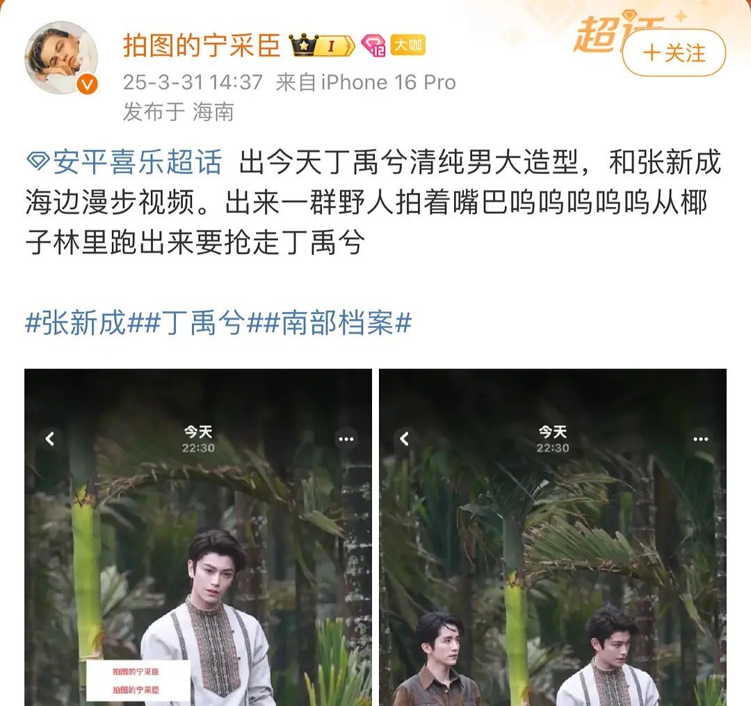 横店代拍都转场去海口拍南部档案了，看来都知道拍丁禹兮赚💰啊，野人抢丁禹兮是什么