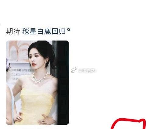 粉丝说“期待毯星白鹿回归” 
芭莎之夜 阵容 ​​​