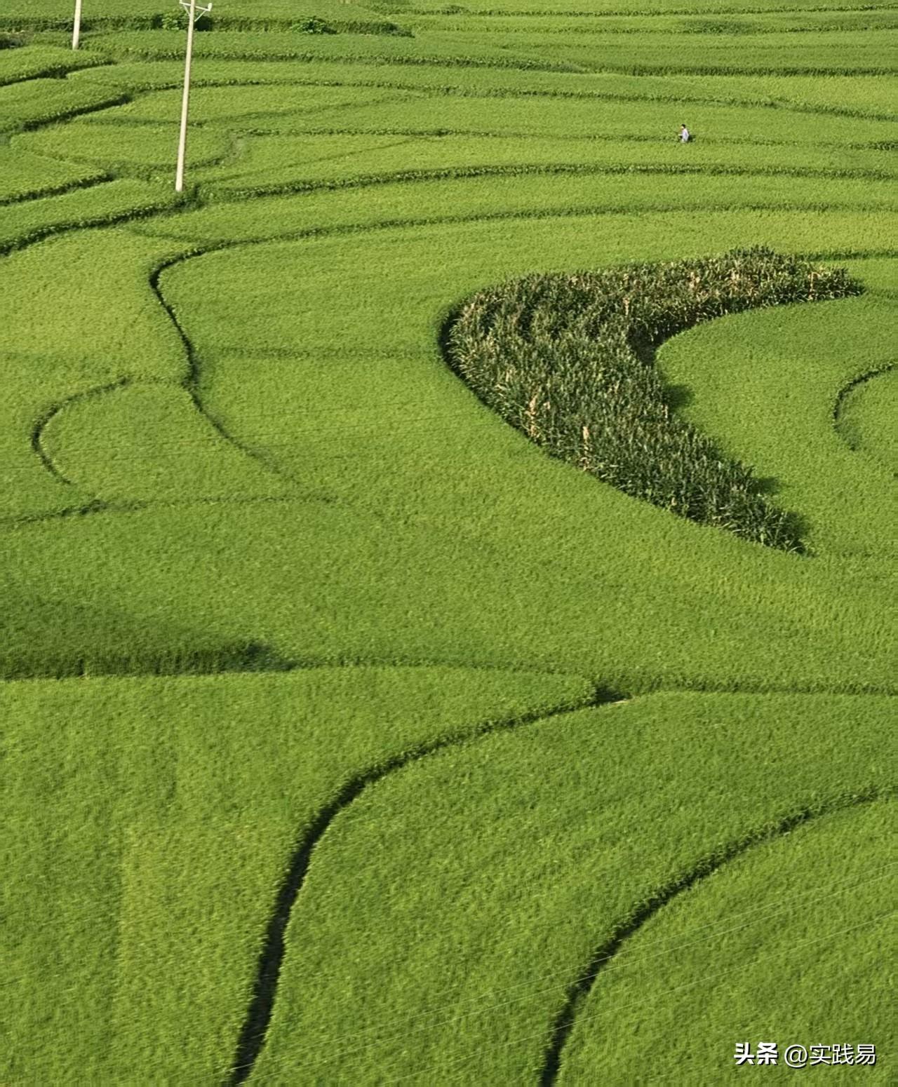 田园风光，绿意盎然，美不胜收！🌿🌾
如果说这是中国足球的春天，那么，现在就是