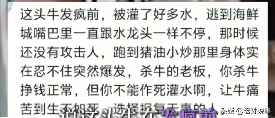 杀生不虐生啊！长沙，在一地铁站附近，一头发疯的老牛突然冲向两位正在走路的行人，这