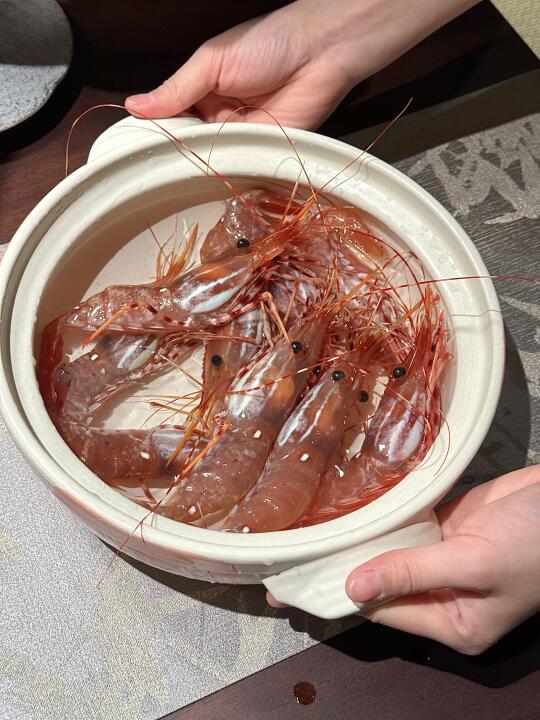 大连首家！！首家！！活牡丹虾！