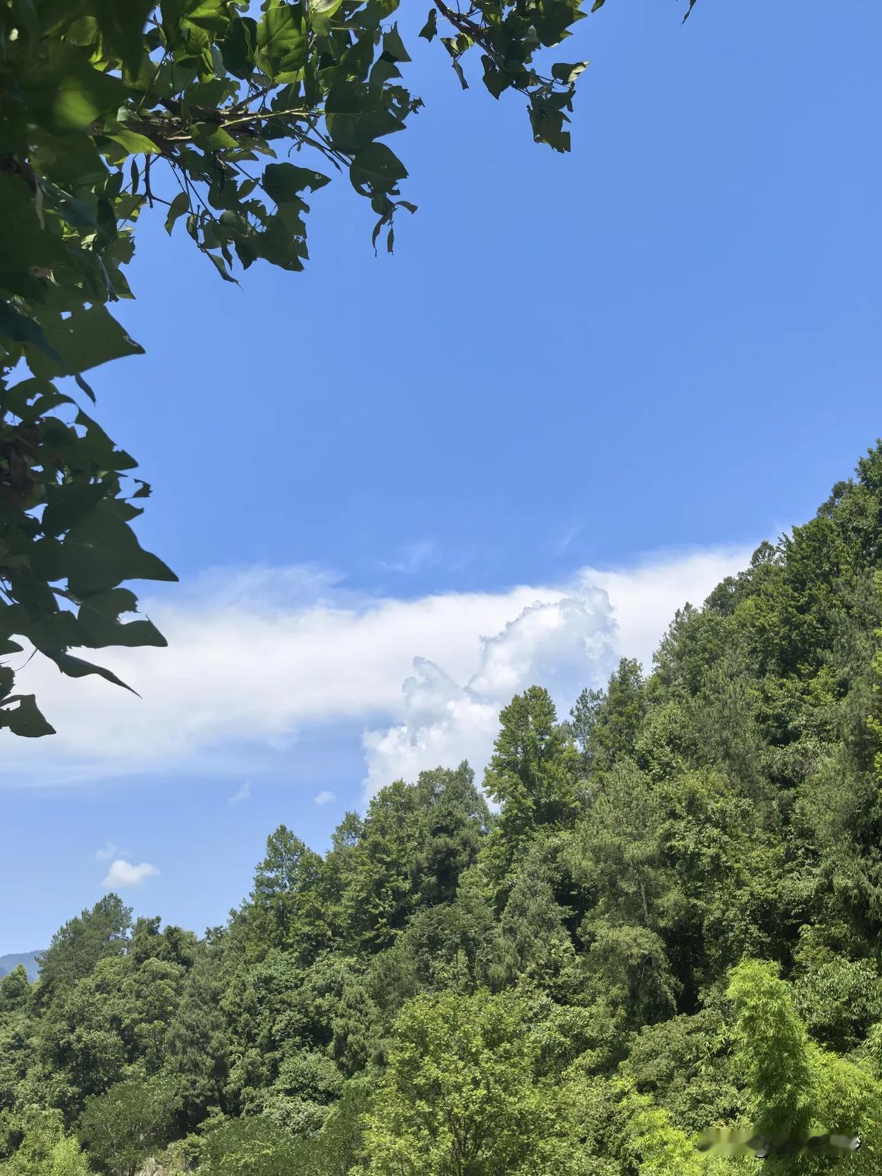 随手分享。一张天空照。