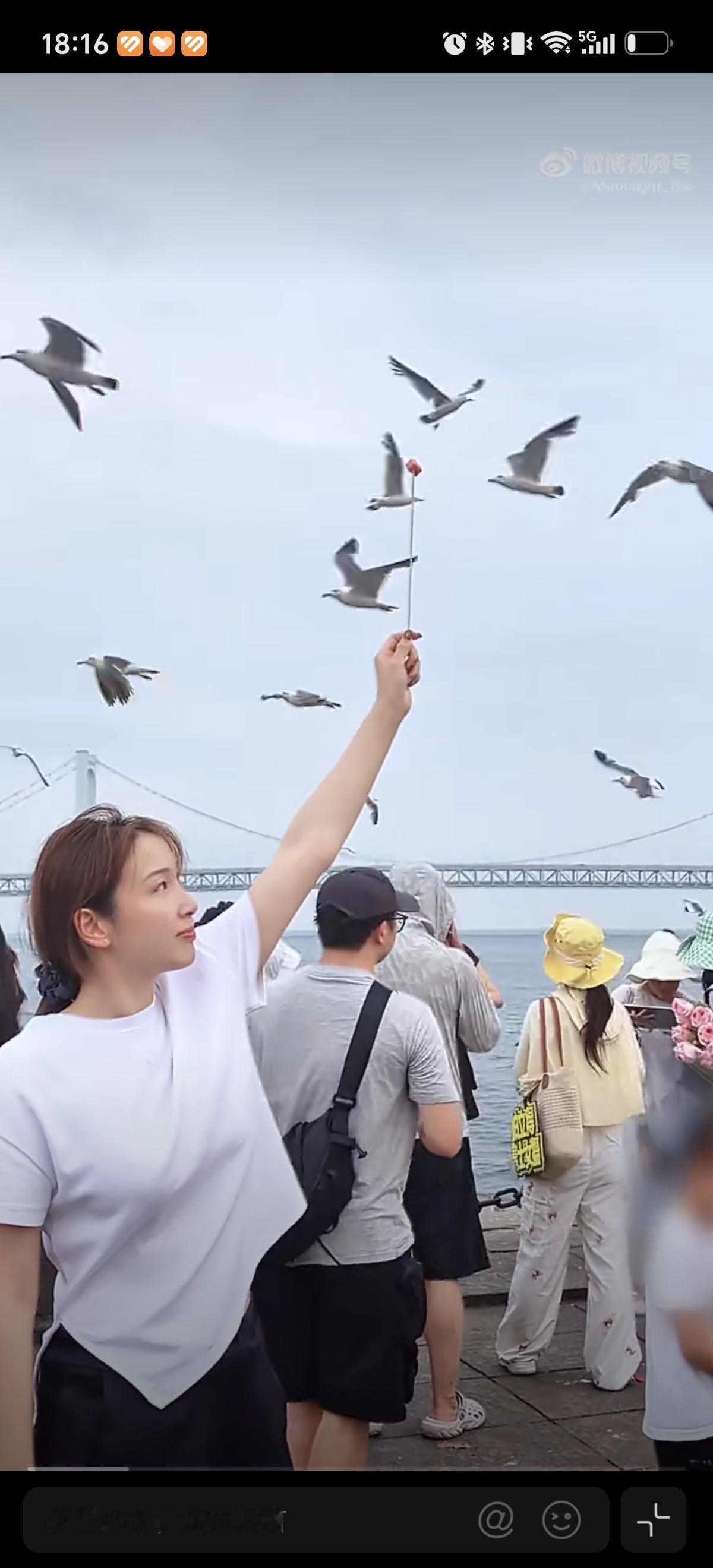 7月27日钱天一在大连喂海鸥，是不是和陈幸同一起去玩的，因为今天比赛结束了，两人