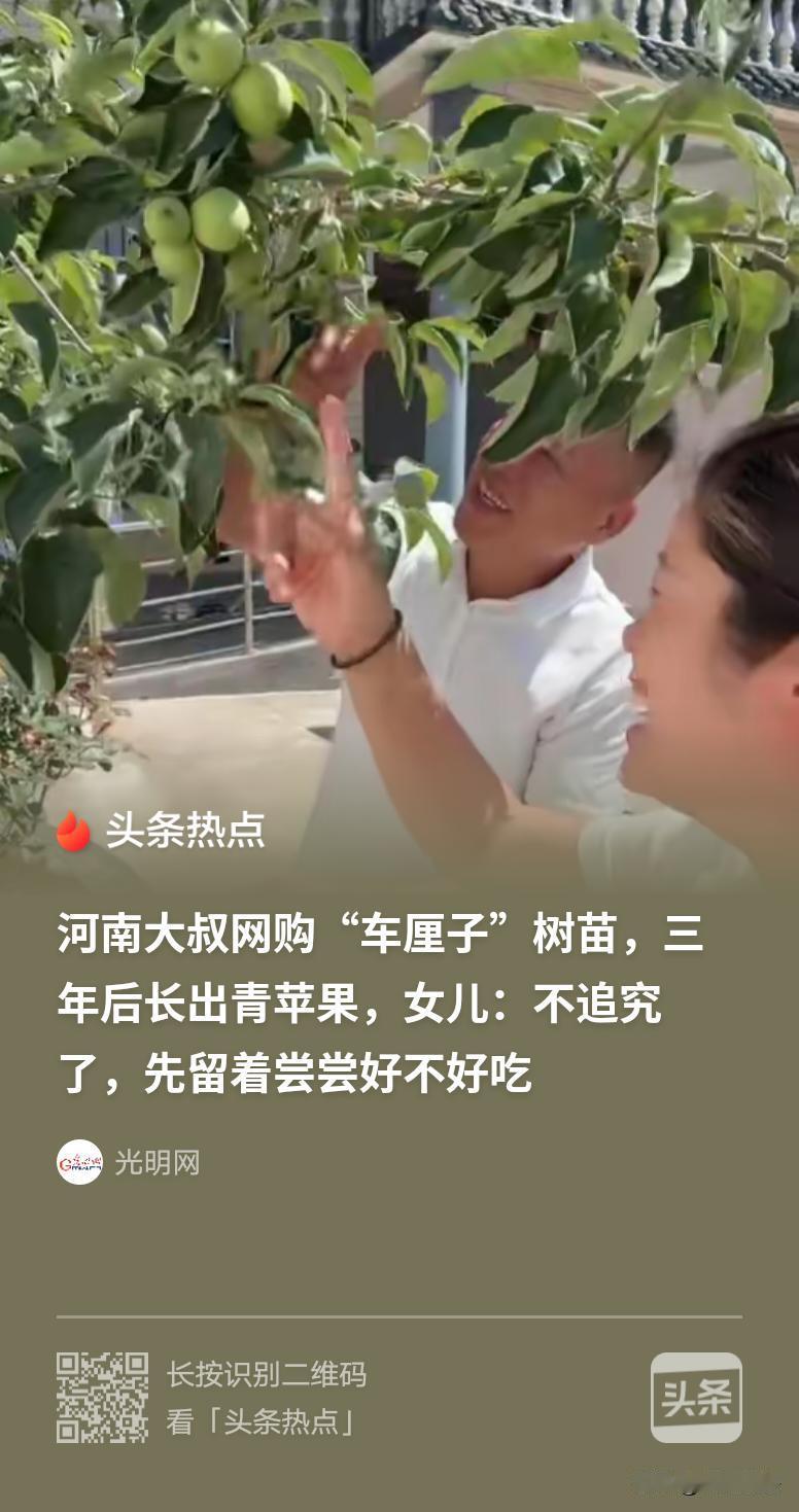 “气笑了！”河南，女子父亲3年前在网上买了3棵车厘子树苗，2026年结果了，女子