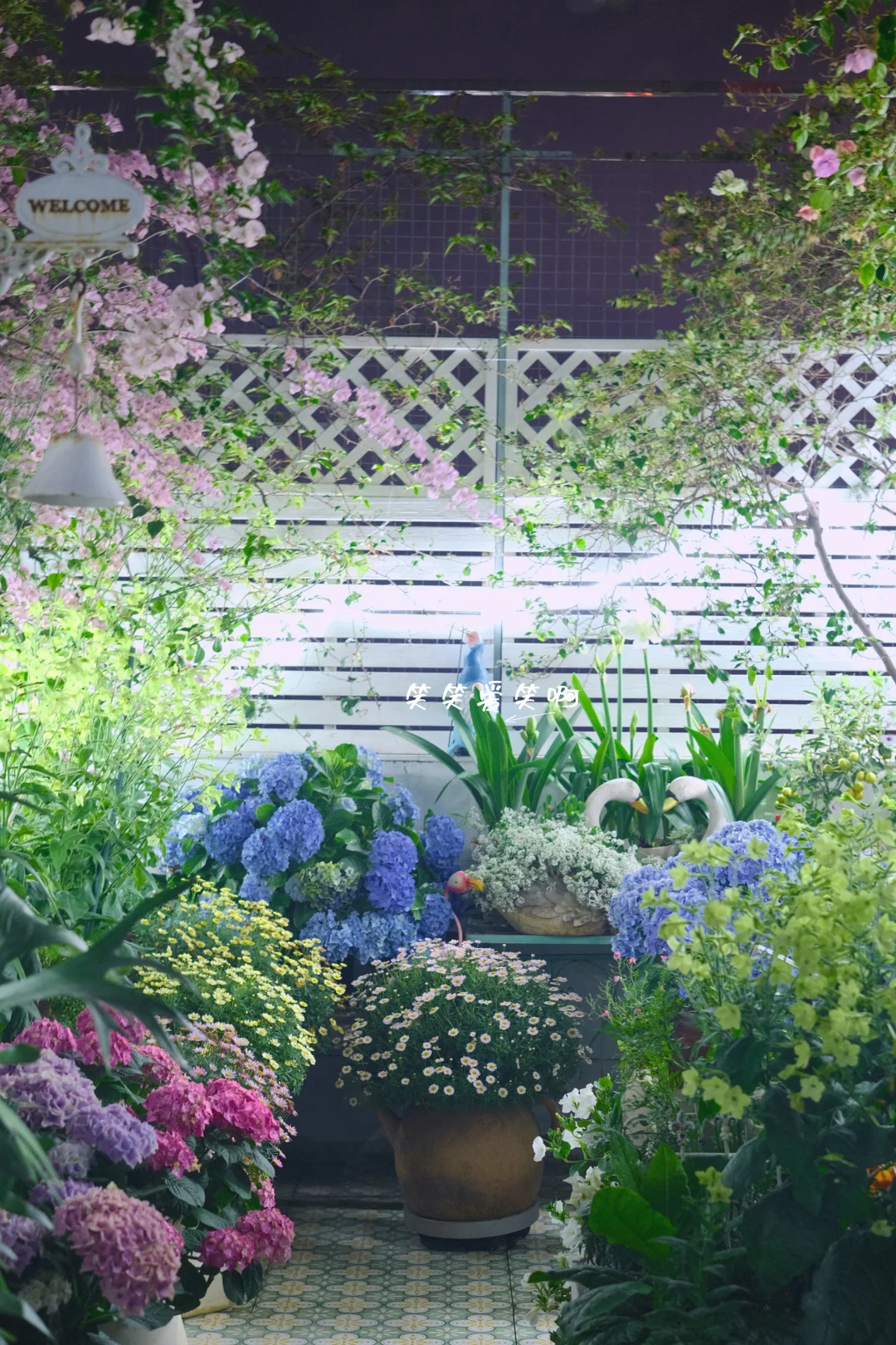 养花人的手机内存到底有多大，每天拍不停