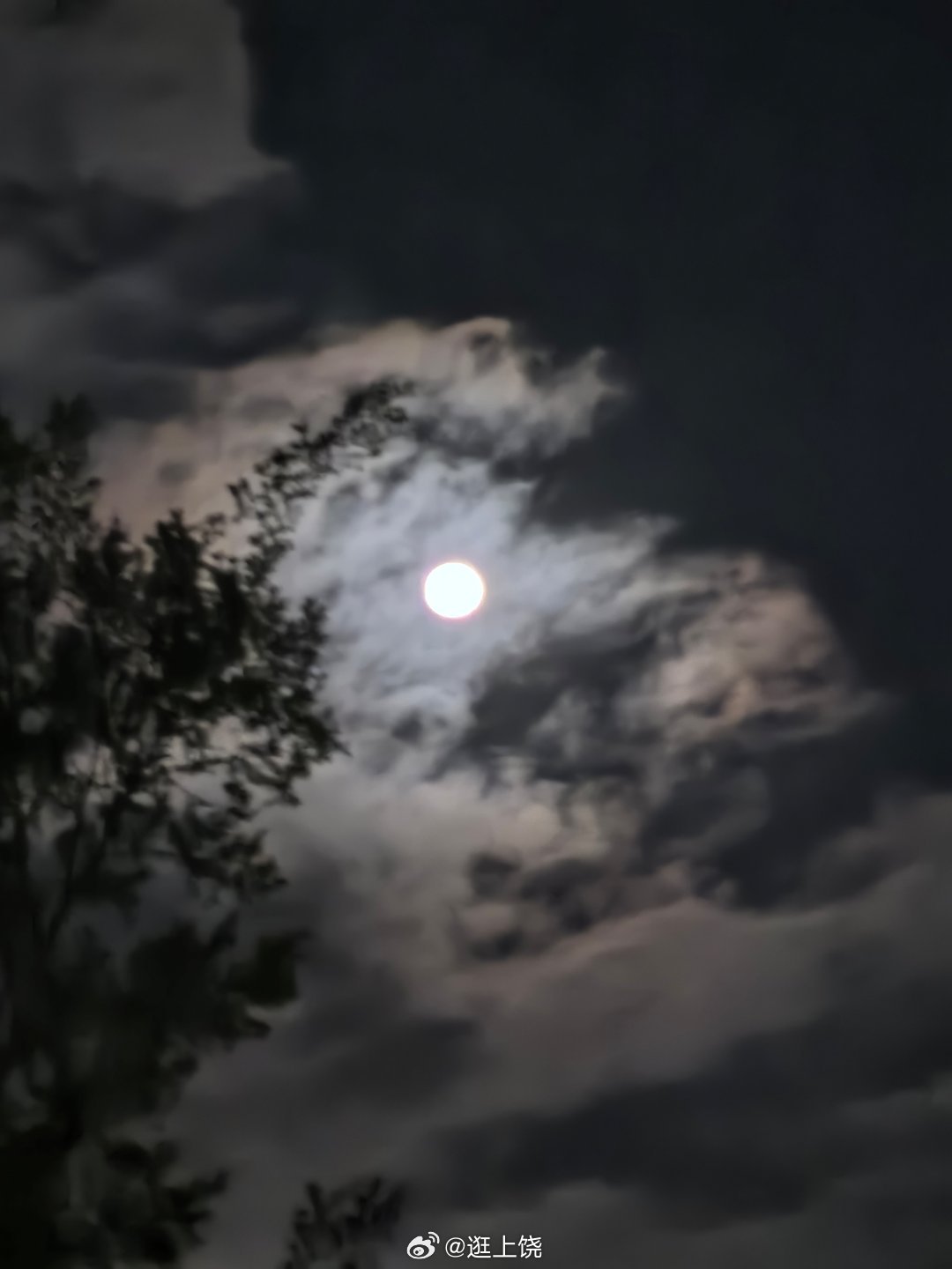 点亮饶城热力值 树影婆娑，皓月当空。中元节 在上饶城市的夜色里，借一轮明月，抚平