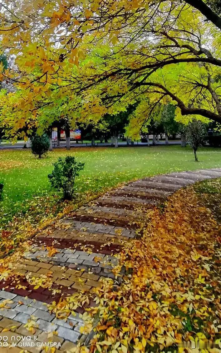 （原创）
秋天的背影
镜头记录生活  秋天的脚步已渐渐的远去 那随风飘扬的落叶?