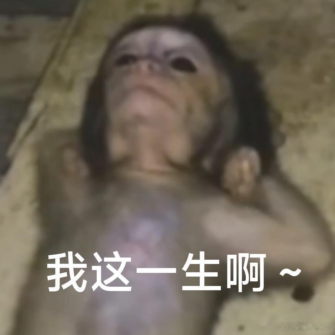 时隔多年才读懂高考作文 现在的年轻人看这些老题肯定觉得像在看古董，但只有经历过的