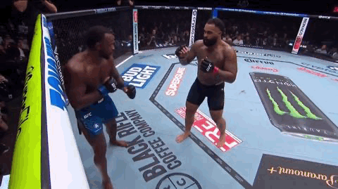 UFC329盖博·史蒂文森达成连续4场首回合KO
UFC329因麦格雷戈的强势复