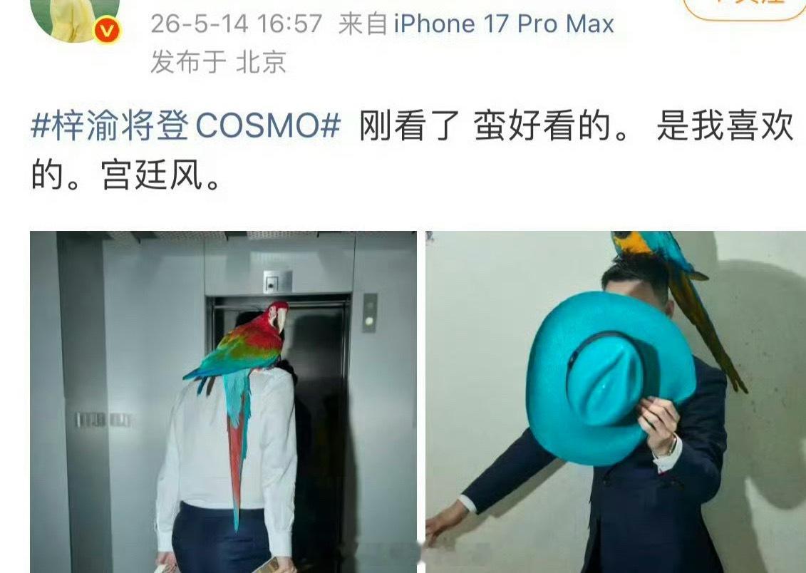曝梓渝将登COSMO梓渝粉丝购买力强，人也可以驾驭各种时尚造型，上一线杂志是合理