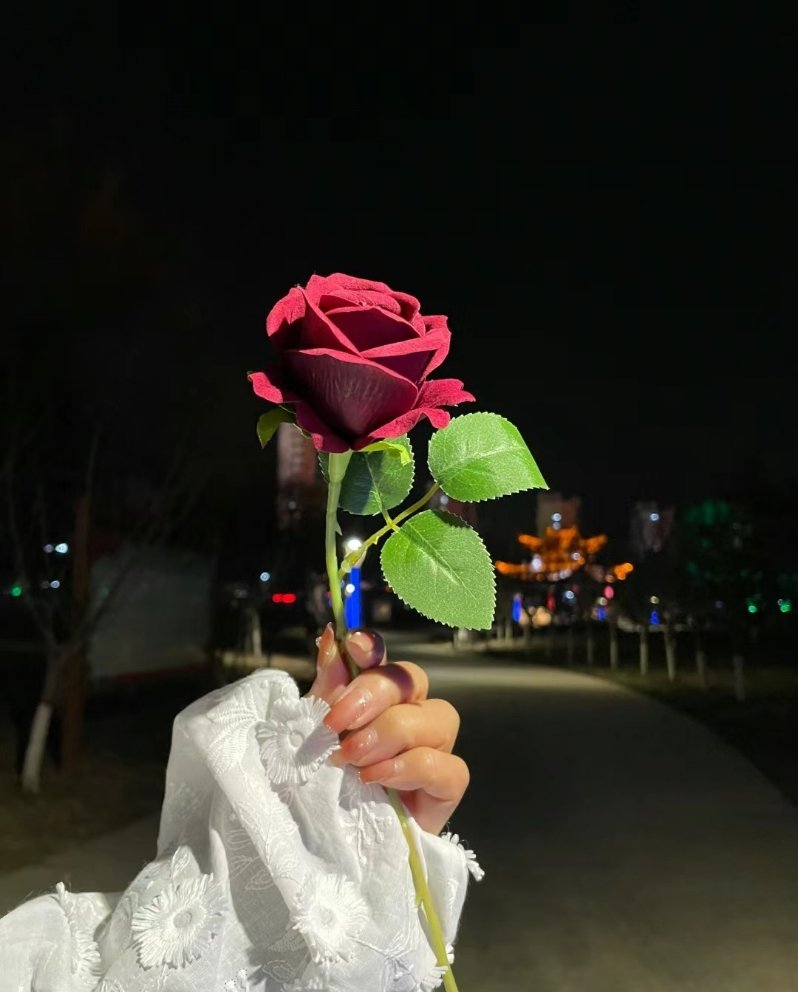 无爱一身轻 有爱变神经 智者不坠爱河 冤种重蹈覆辙 . ​​​