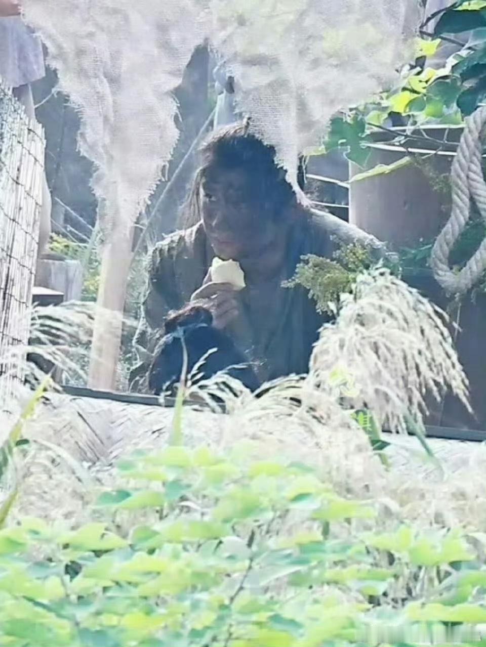 猜猜这是谁？[笑而不语][哈哈][二哈] ​​​