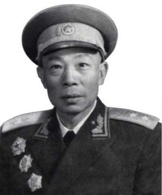 1949年，清剿湖南6万残匪的军长杨梅生路过小镇，见一乞丐老太酷似亡母，派警卫去
