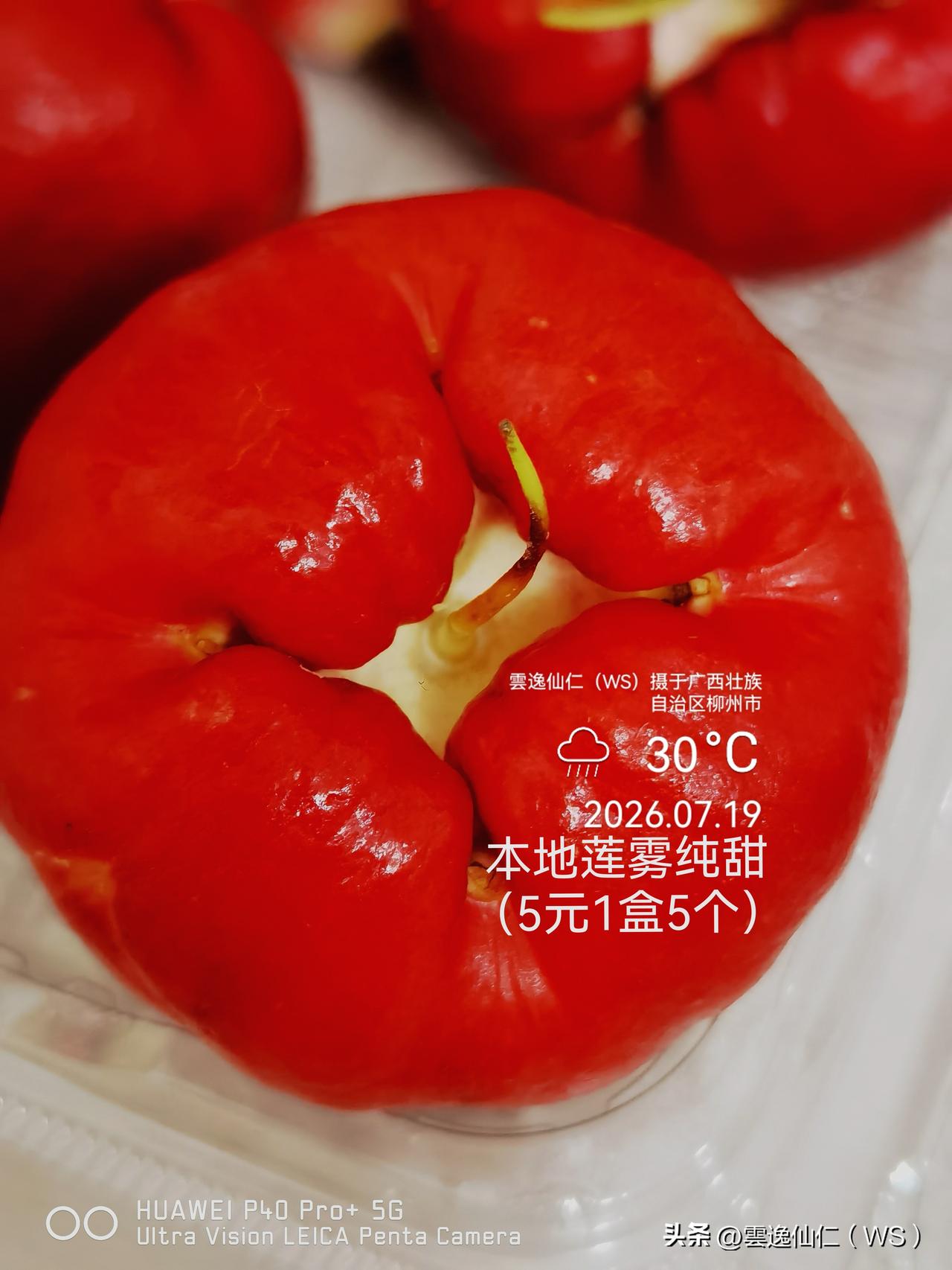 月居生活记录（10254）广西壮族自治区柳州市（292）品尝小吃71：本地莲雾纯