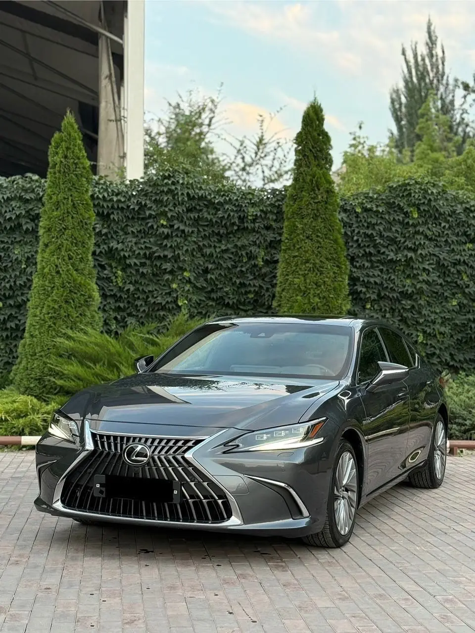 雷克萨斯专业头枕靠腰，经常跑高速必备要的