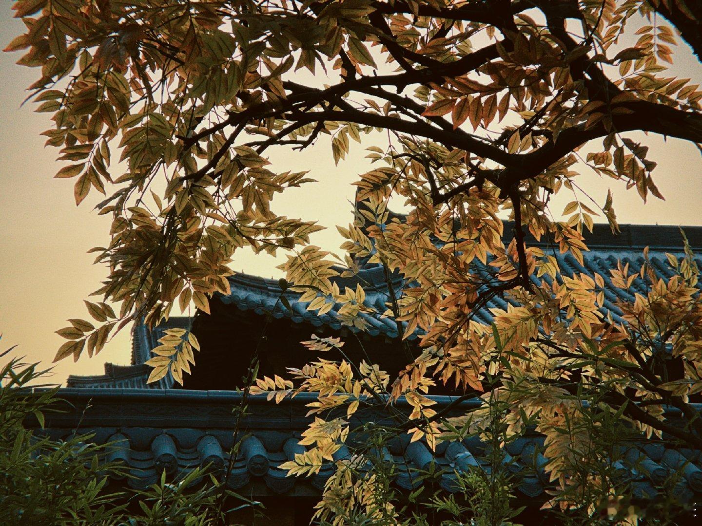 辛云来分享明月录片场胶片照辛云来片场九宫格胶卷胶片记录片场时光，辛云来认真又温柔