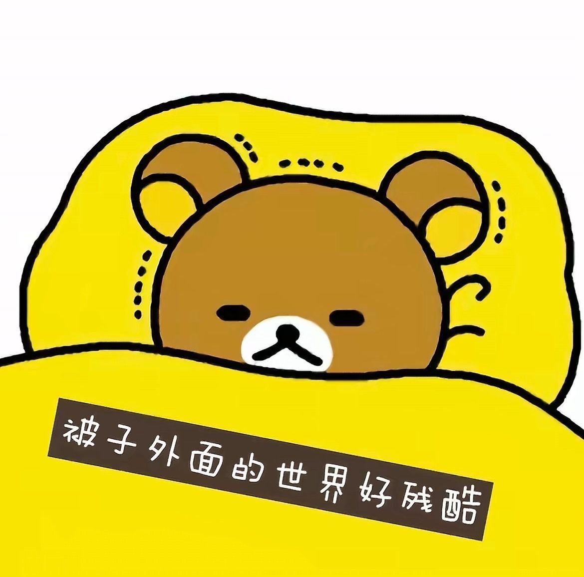 𝐀𝐯𝐚𝐭𝐚𝐫｜轻松熊梗图 许愿像轻松熊一样轻松՞⦁㉨⦁՞ 