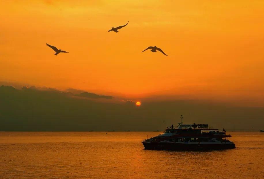 人人都有老来难

人生暮年，身体机能逐渐衰退，这是我们要面临的严峻问题。身体不知