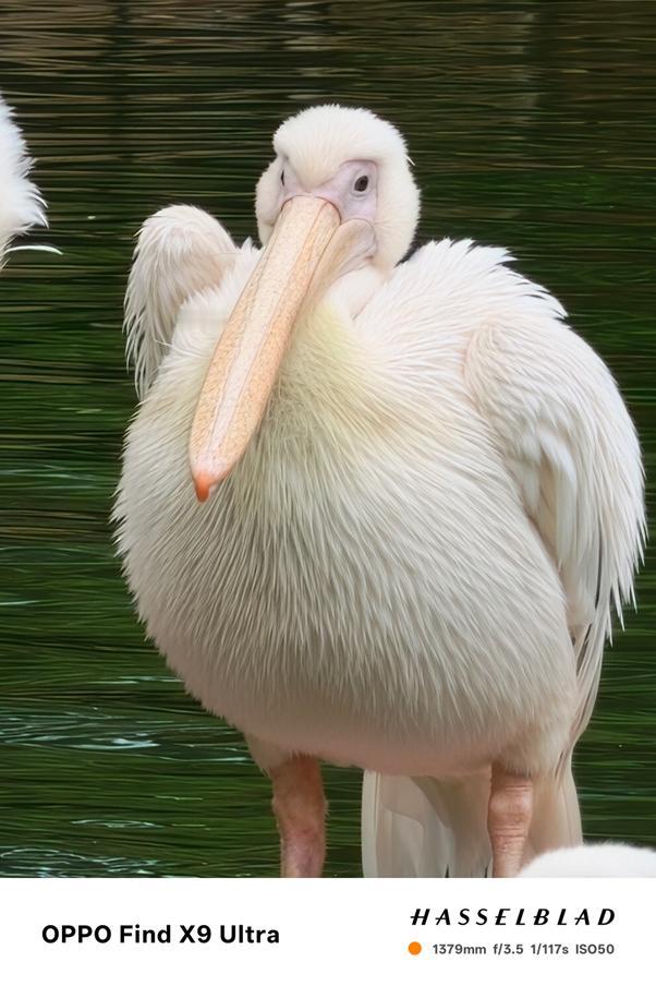 长焦真的太好用辣~尤其是这次绿厂的Find X9 Ultra新机，居然上了一颗1