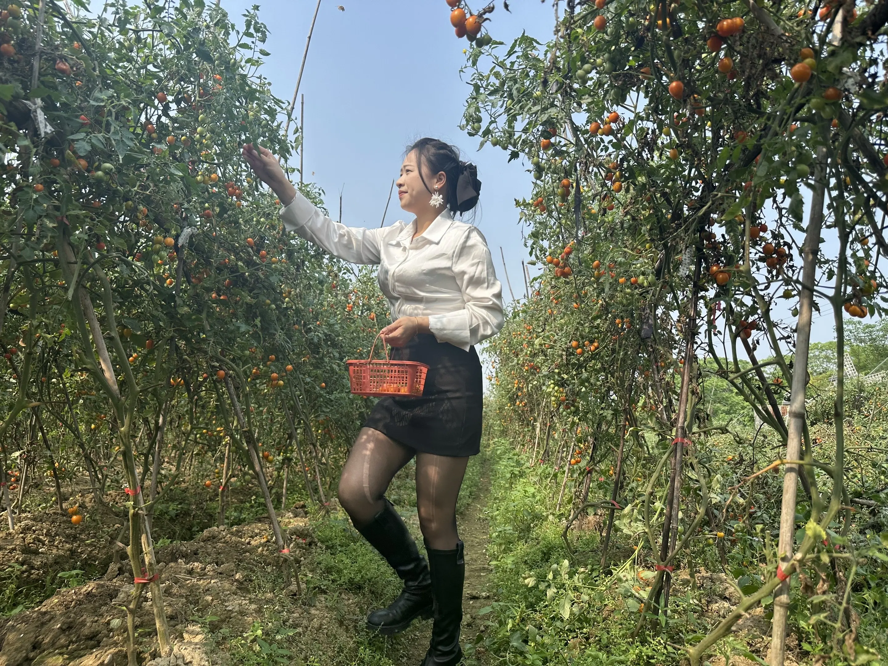 🍅