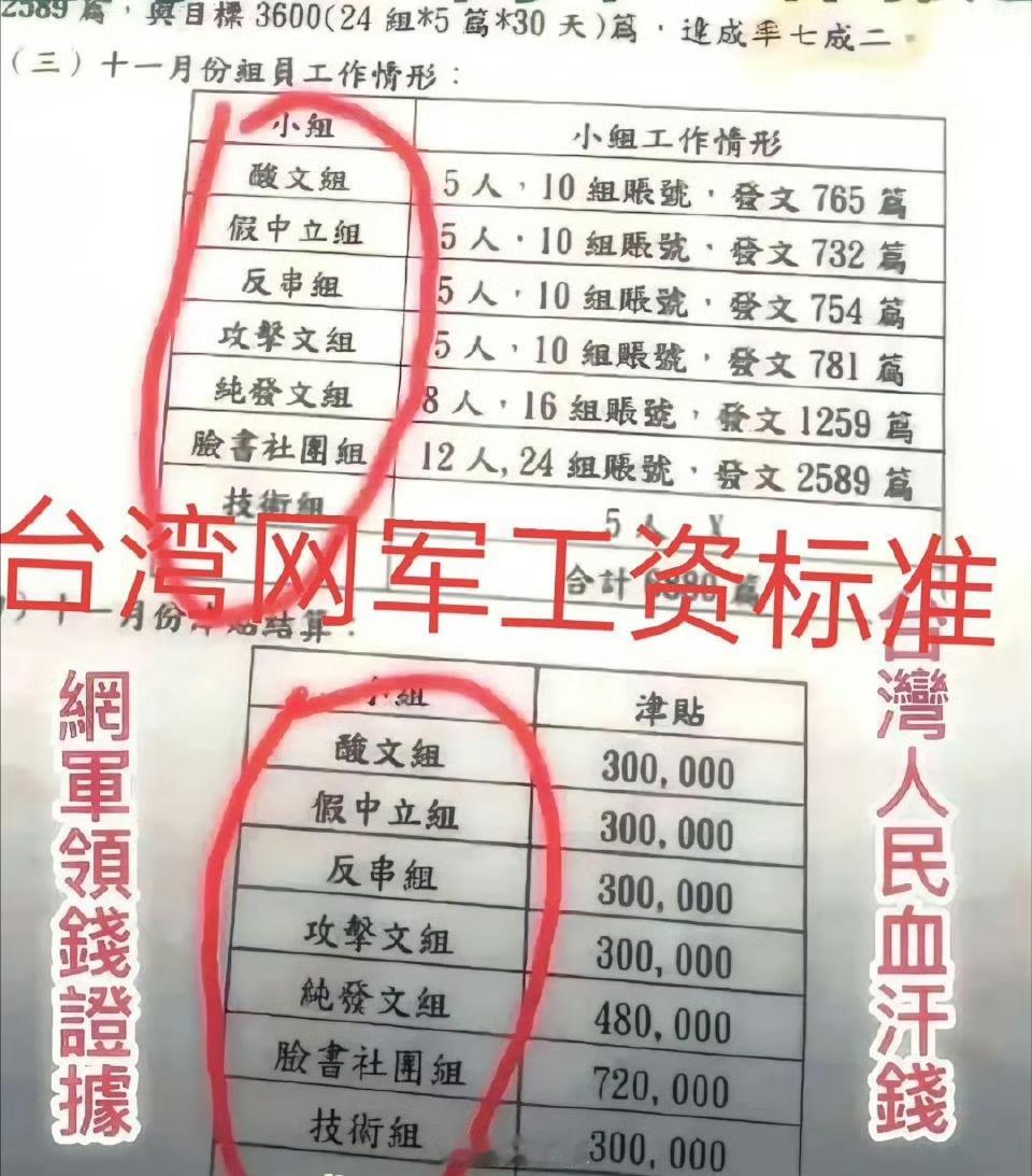 台湾水军头目被曝光