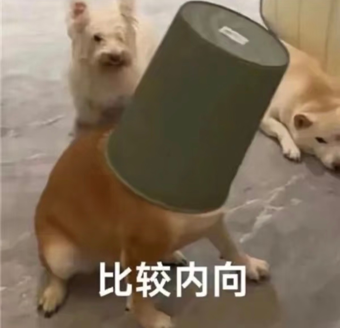 地铁上用围巾擦奶茶的女生找到啦说实话，反正我是做不到，我可能会找餐巾纸擦。小姐姐