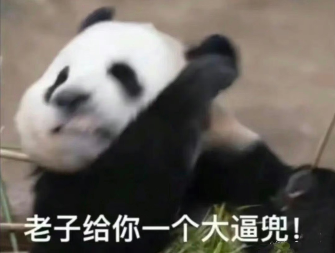 最近的ydl真的阴的没边了🤗 