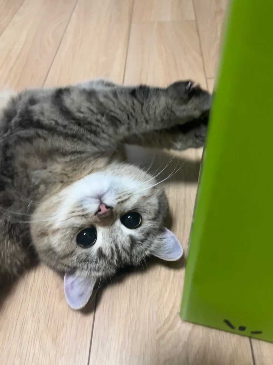 被你迷的神魂颠倒