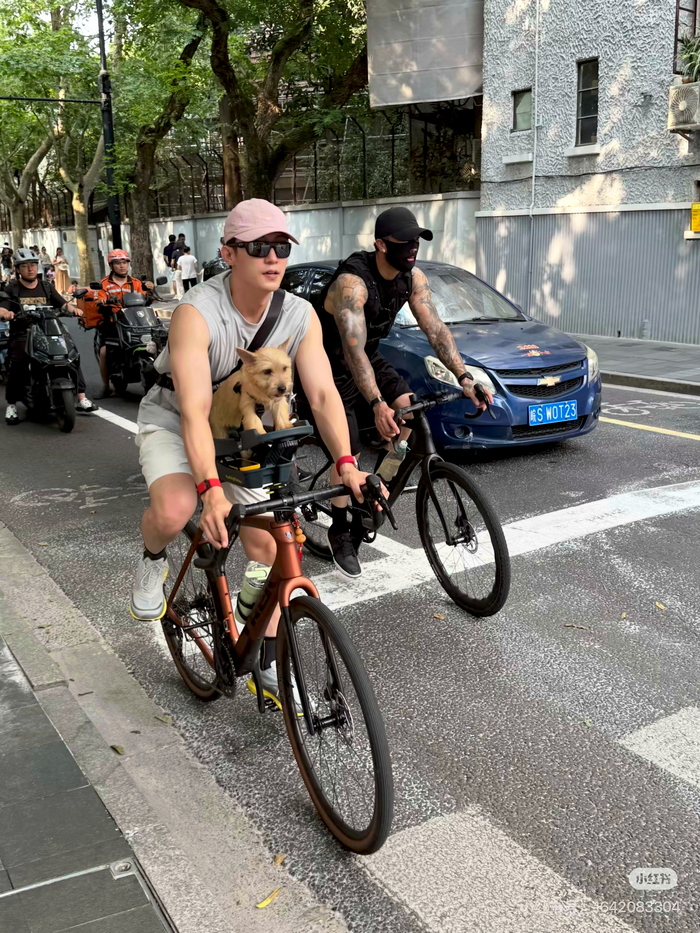 黄景瑜这条小狗真的成了他女儿了，天天骑车走哪带哪黄景瑜