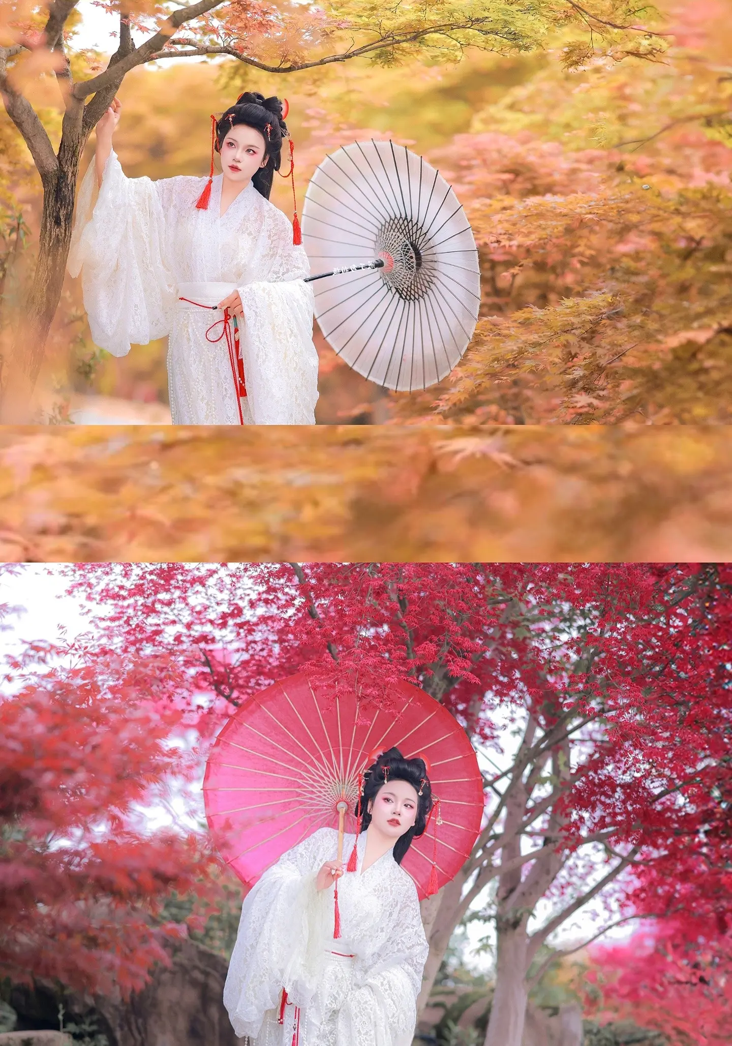 人间四月天，怎么能没有枫叶呢～橘和红哪个你更爱～