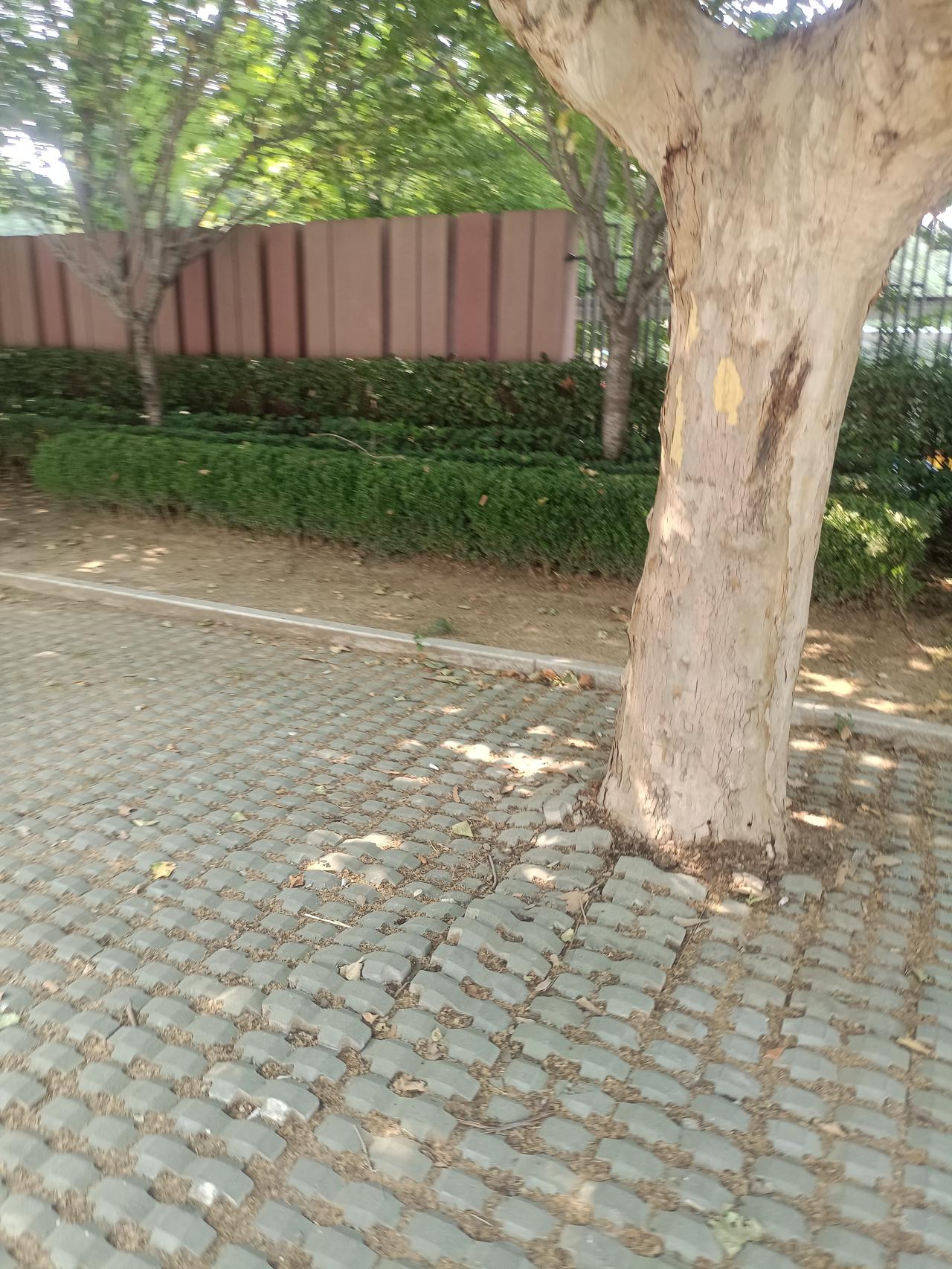 小时候在巷子里疯跑，看见墙角坐着一排老人，靠着墙根眯着眼，半天不动一下。那时候觉