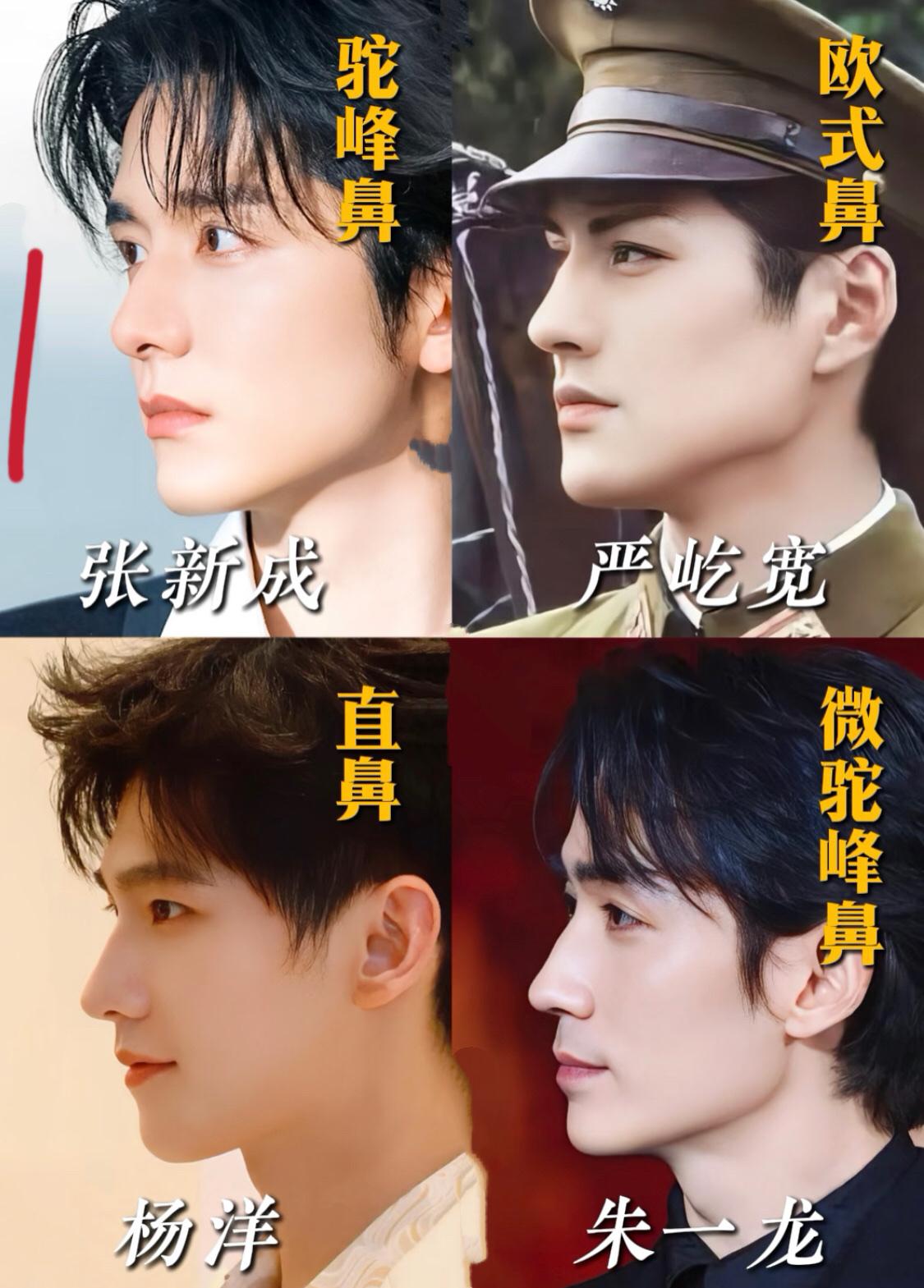 我不是喜欢什么鼻子，而是朱一龙什么都好