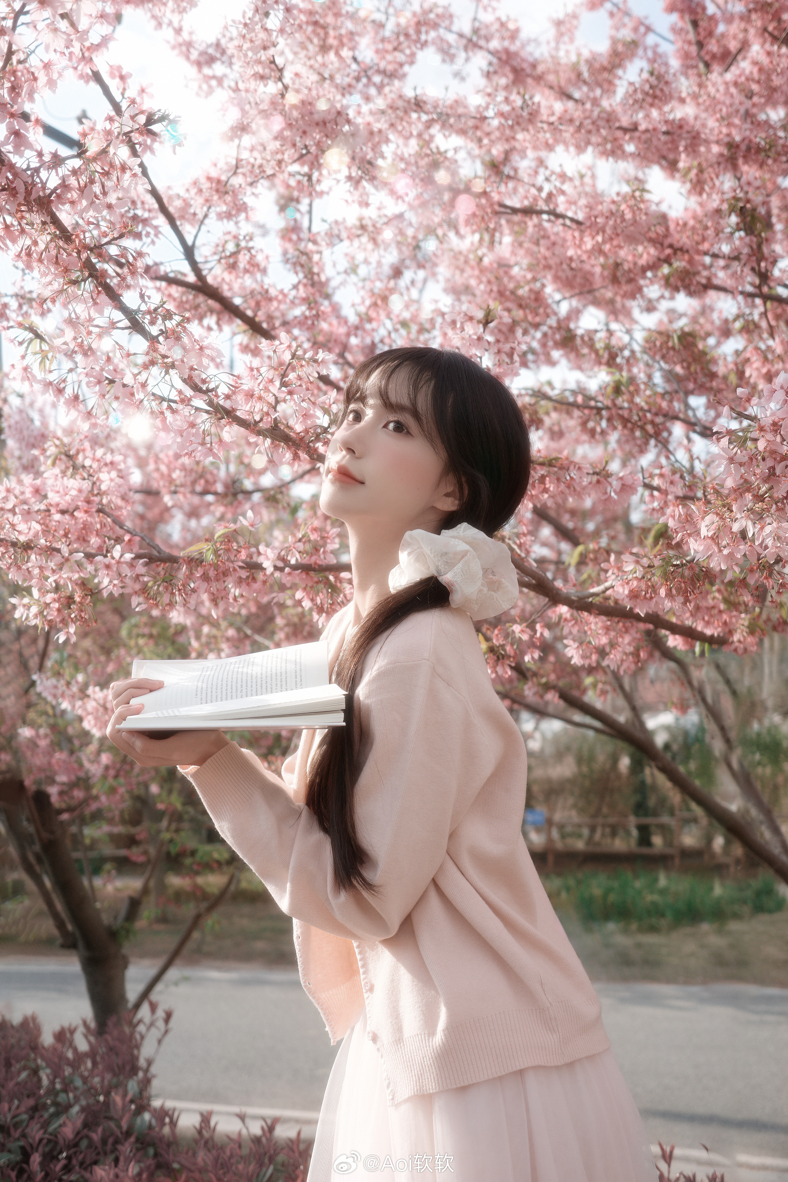 sakura‎⋆˚✿˖° 